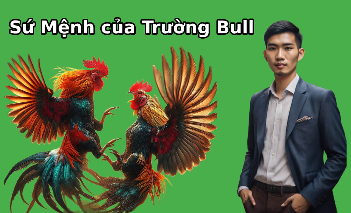Sứ mệnh và tầm nhìn của Trường Bull